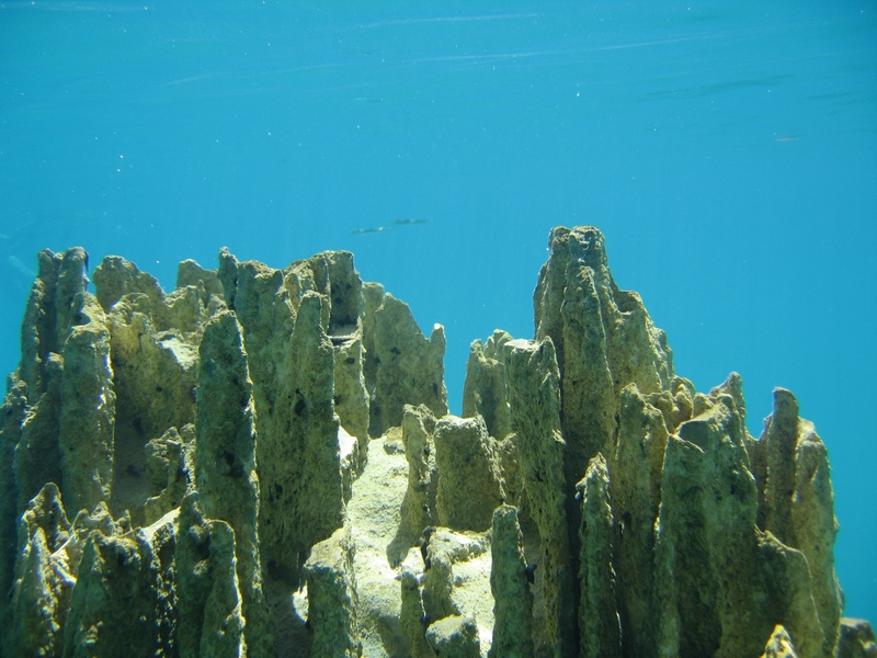 Bilder aus dem Barracuda Lake